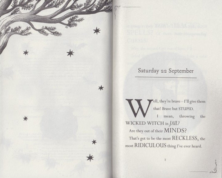 Diary of a Wicked Witch