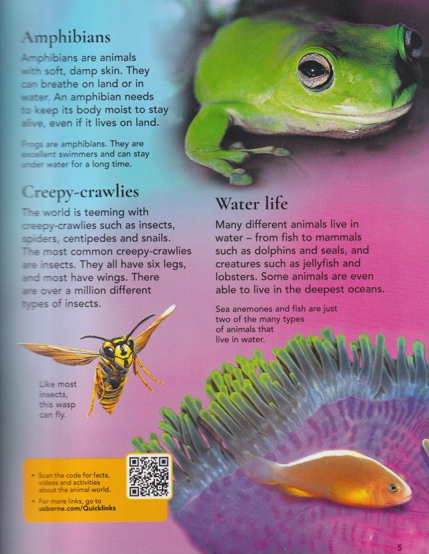 First Encyclopedia of Animals