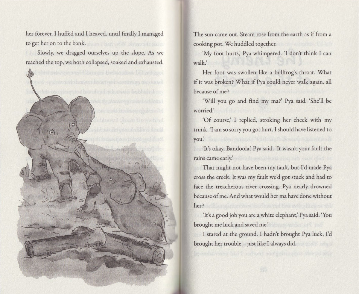 Bandoola an Elephant's Story