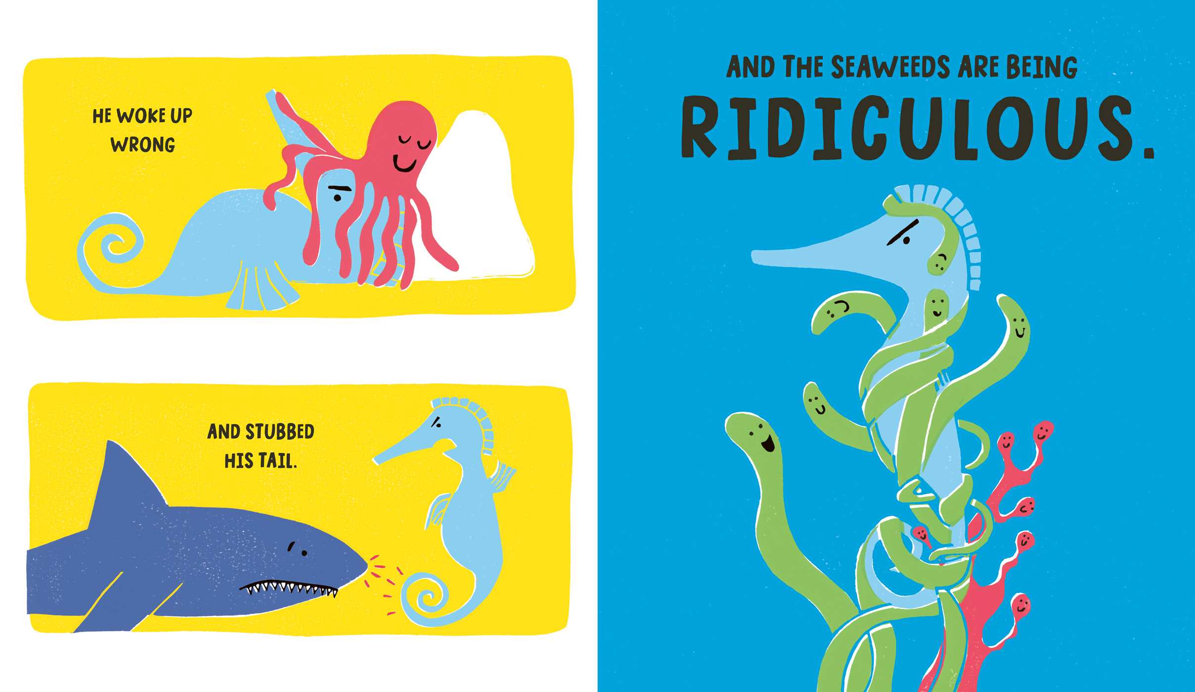 Seahorse is Furious (and there is NOTHING you can do about it!)