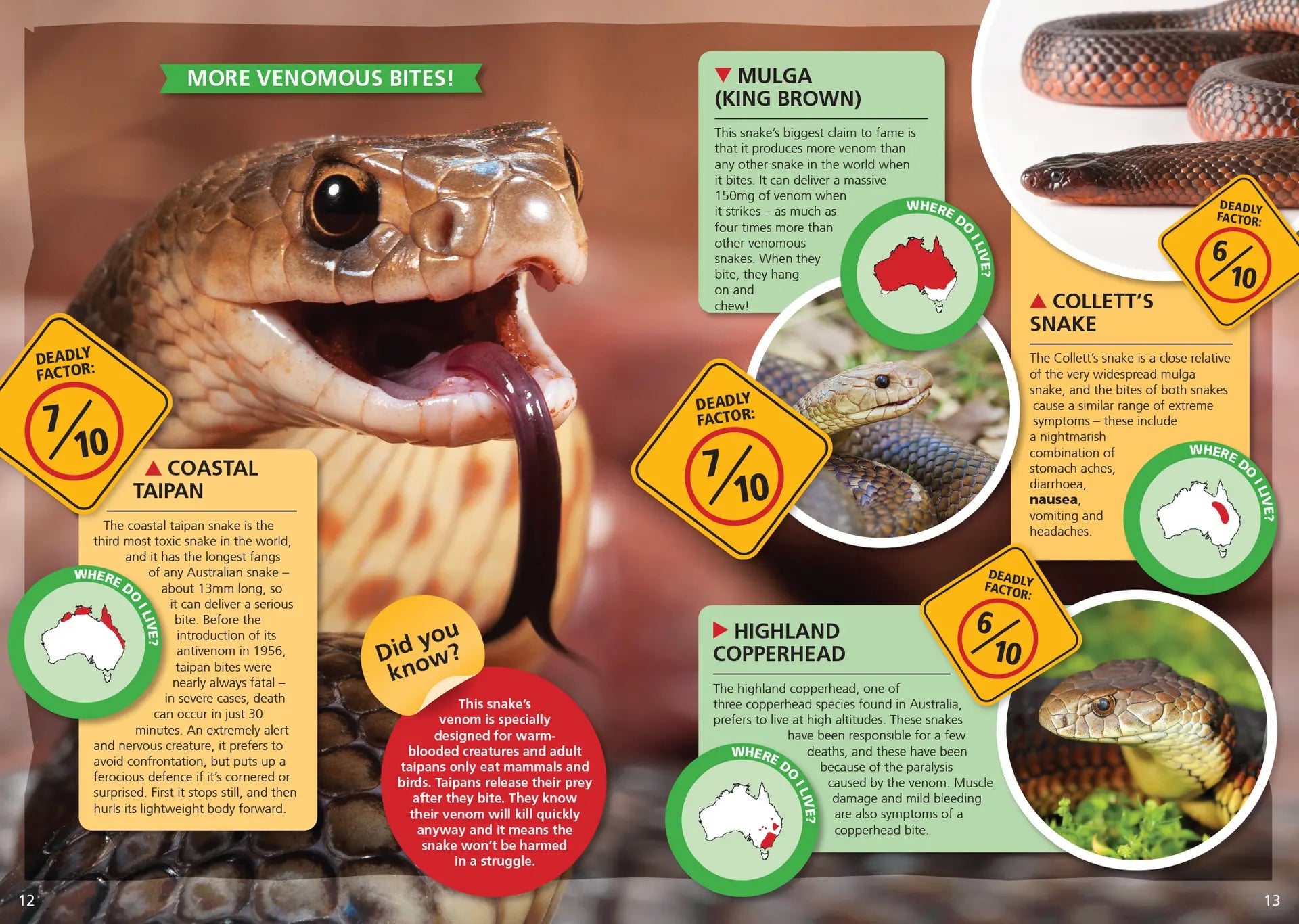 Australia's Most Deadly