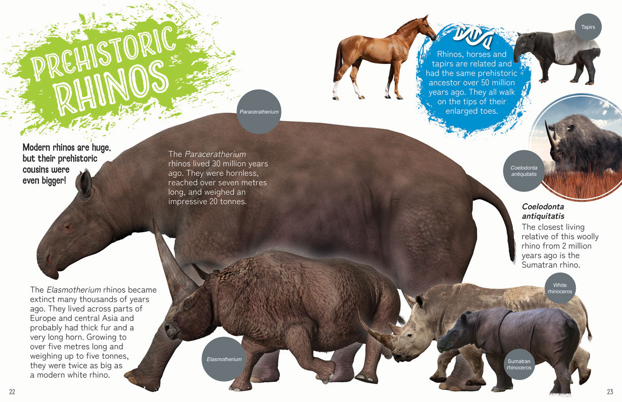Remarkable Wildlife: Rhinoceros (Rhino)