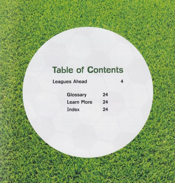 Soccer Mania: World's Top Soccer Leagues