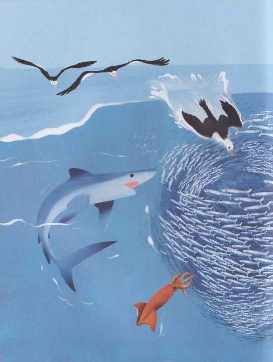 Big Questions Answered: Ichthyology - Do Fish Only Live Underwater?