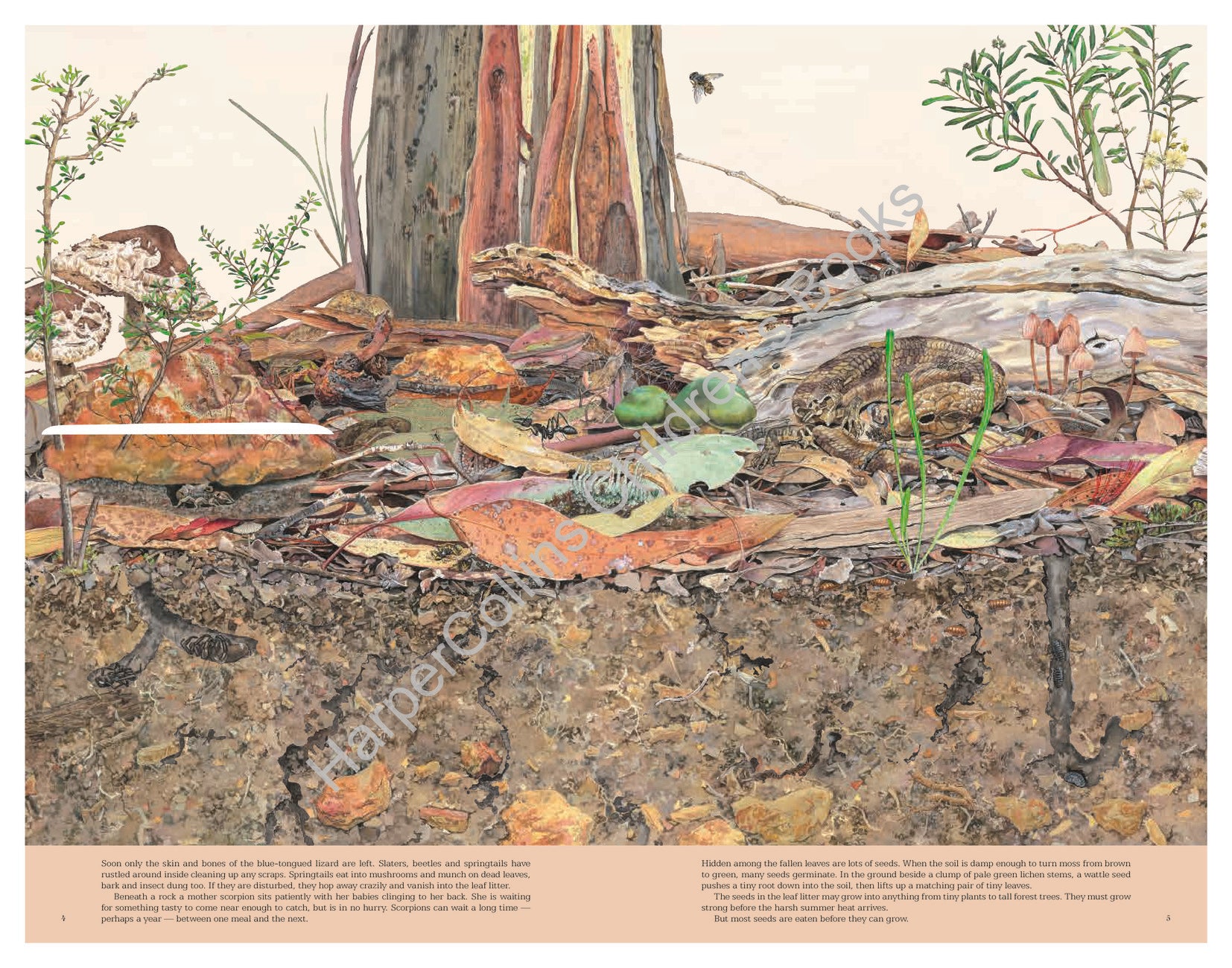 Leaf Litter 20th Anniversary Edition