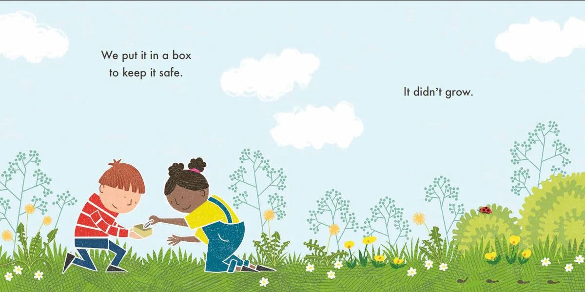 Picture Book (Softcover) Variety Pack (40 titles)