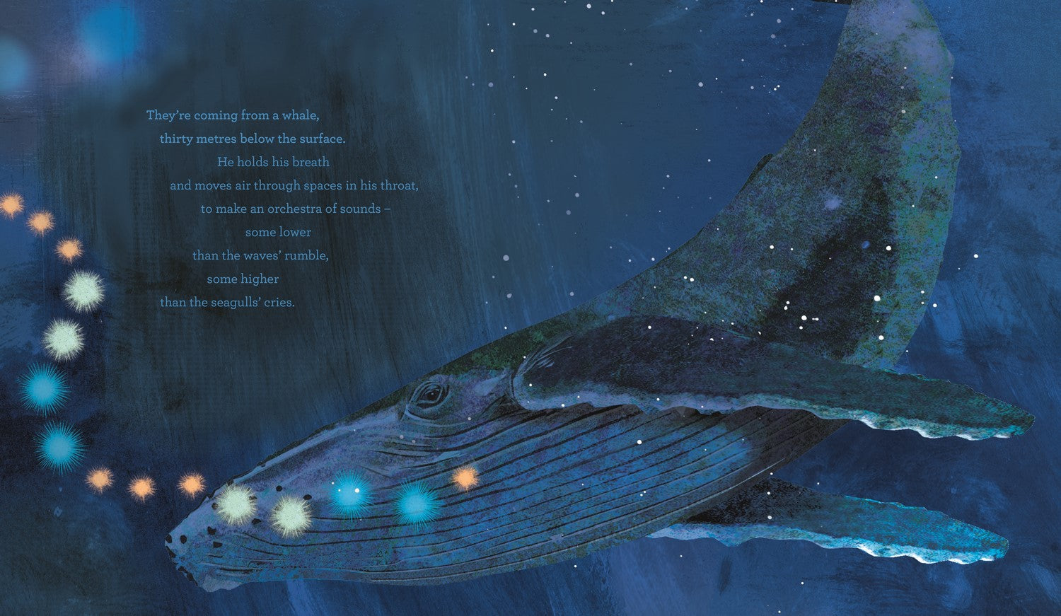 Whale Song