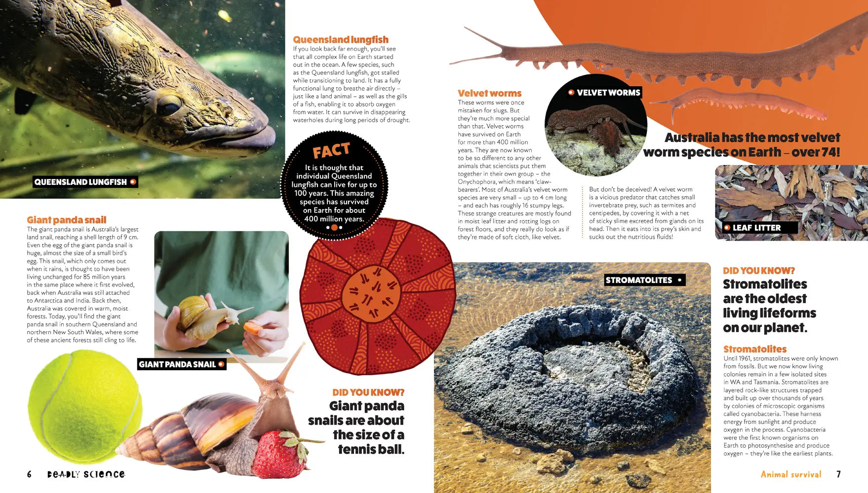 Deadly Science: Animal Survival