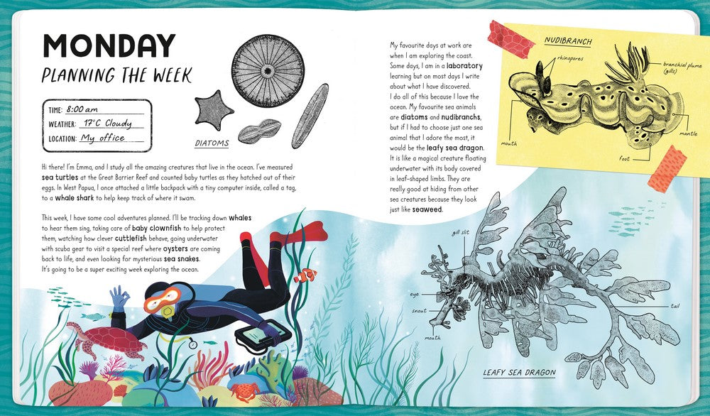 Diary of a Marine Biologist