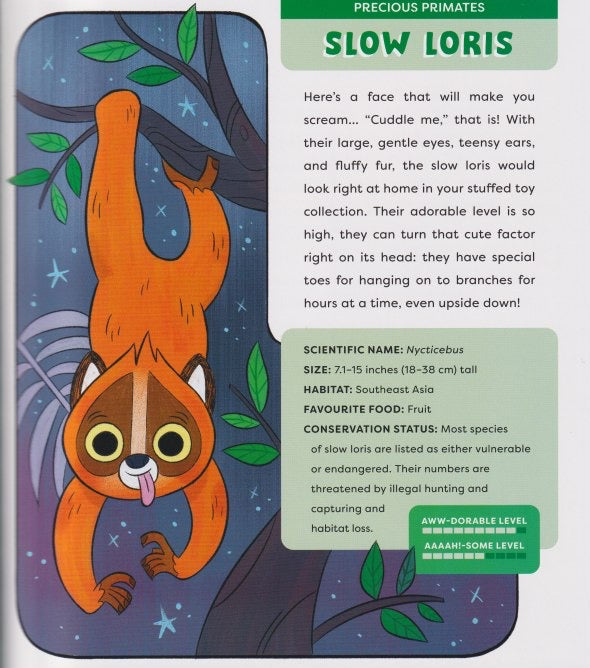 Cute Animals That Could Kill You Dead