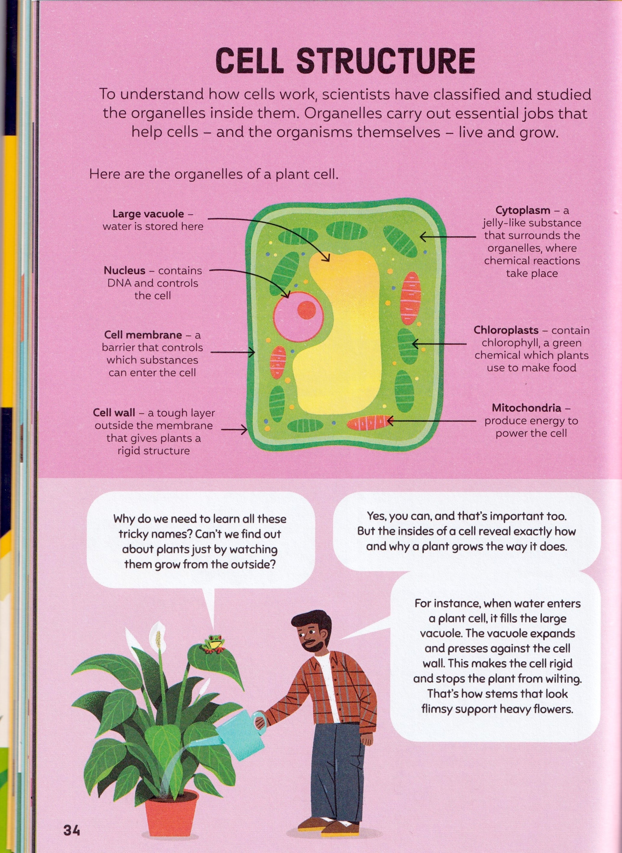 Biology for Beginners