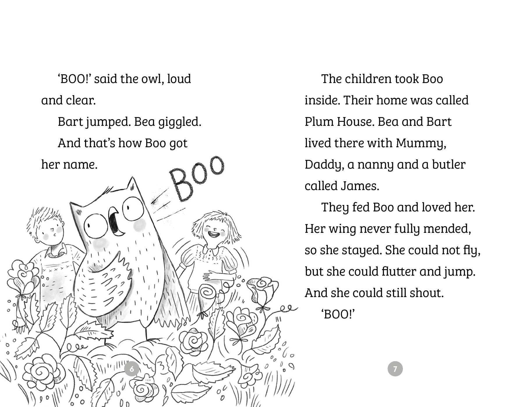 Your Next Read Silver: Bea, Bart and the Birds