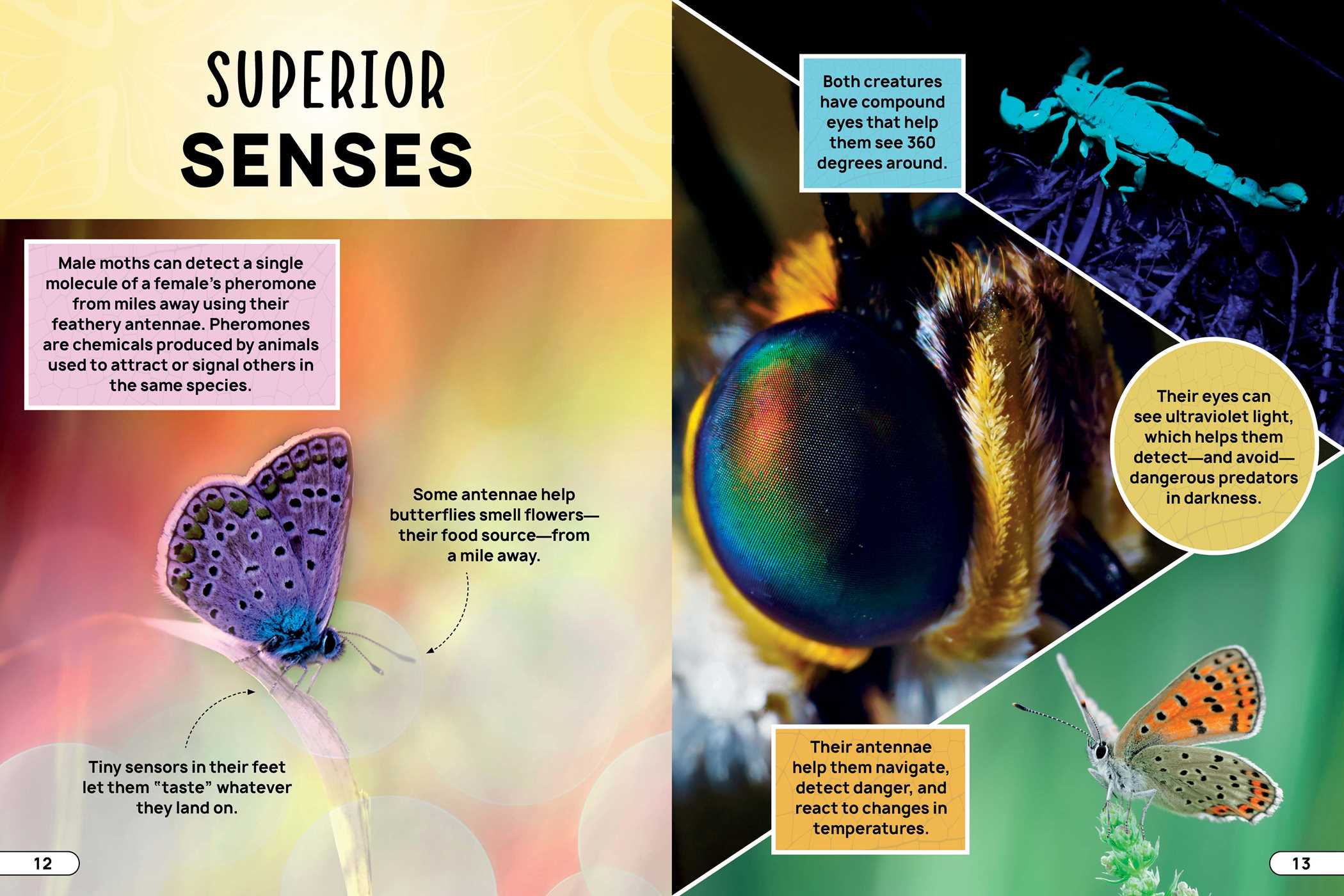 Smithsonian Explores: Bugs and Insects