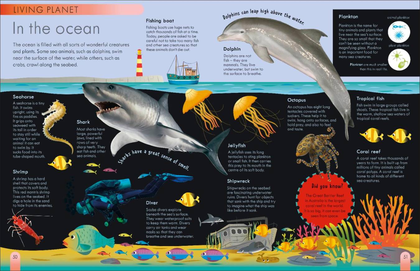 My First Encyclopedia