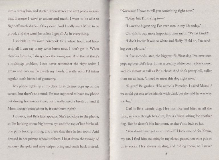 Cool Cat: A Wish Novel