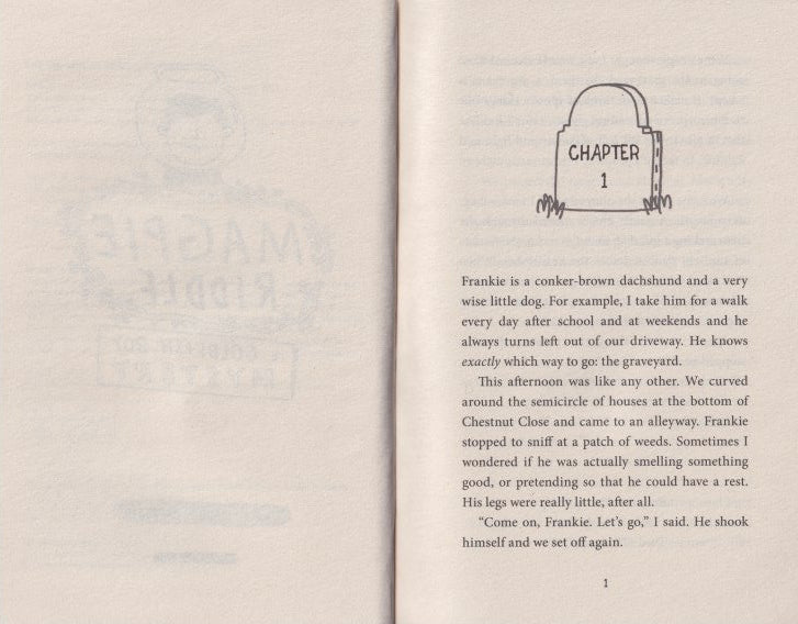 The Magpie Riddle: A Goldfish Boy Mystery