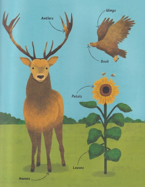 Big Questions Answered: How Do Genes Make Us Who We Are?