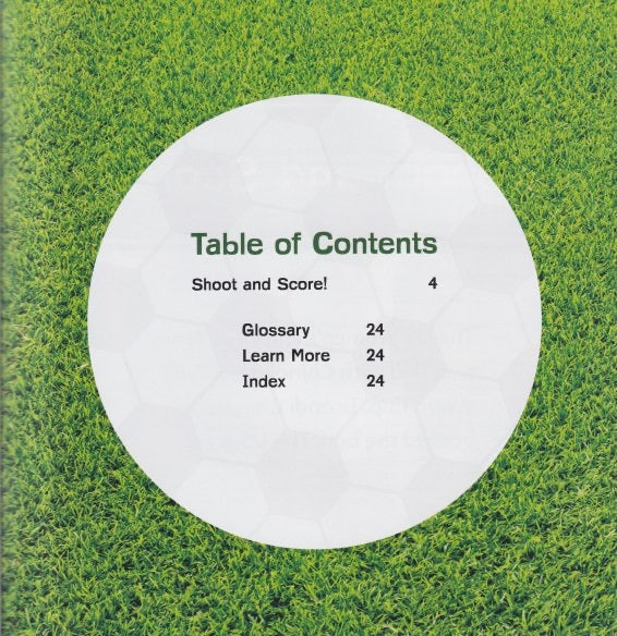 Soccer Mania: All-Time Best Soccer Teams