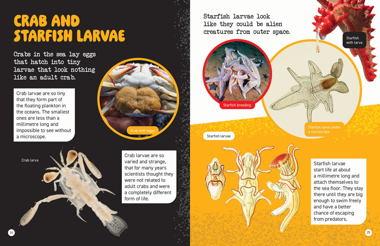Microscopic and Hidden Life: What’s in That Water?