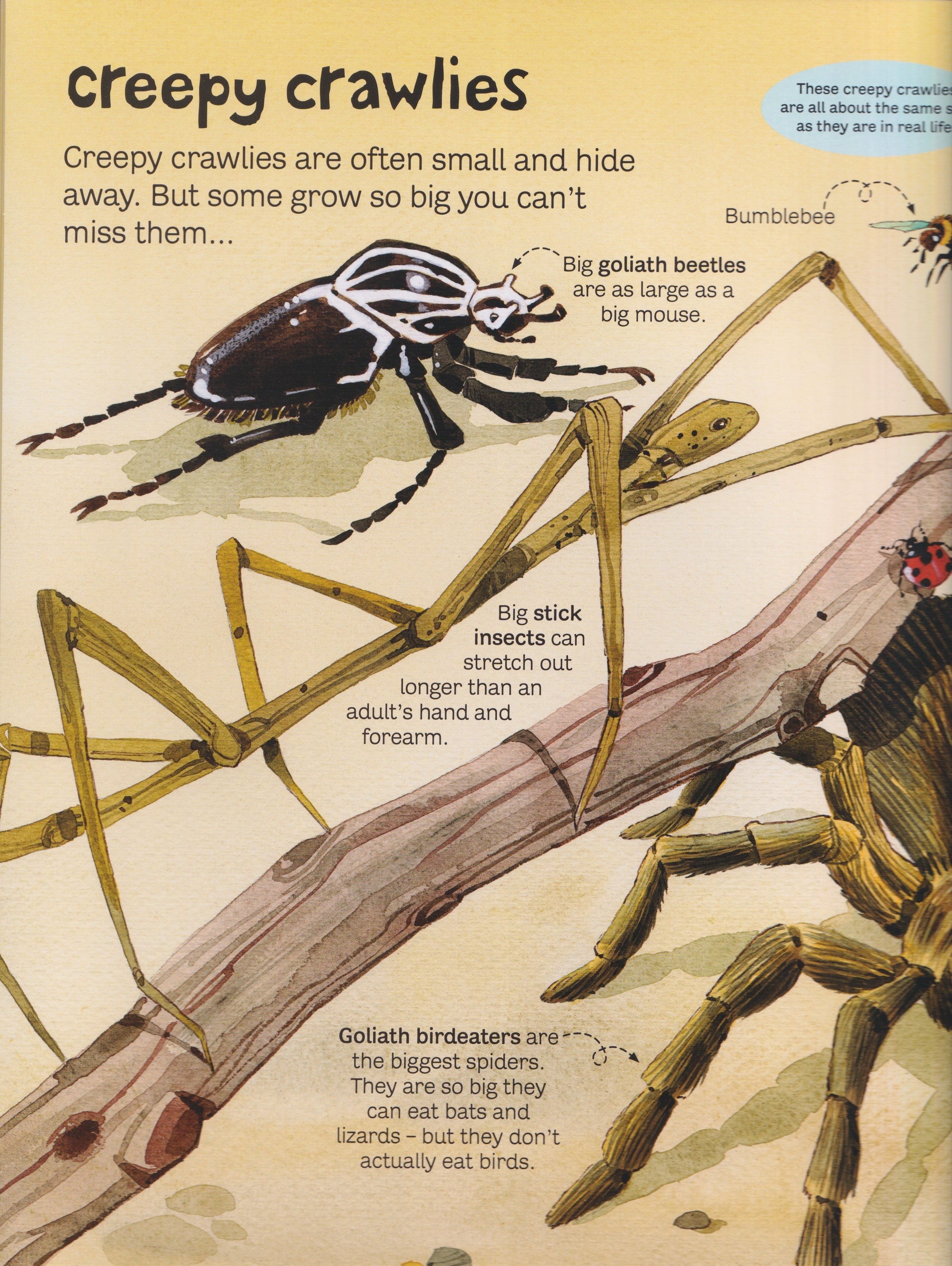 Big Book of Big Animals