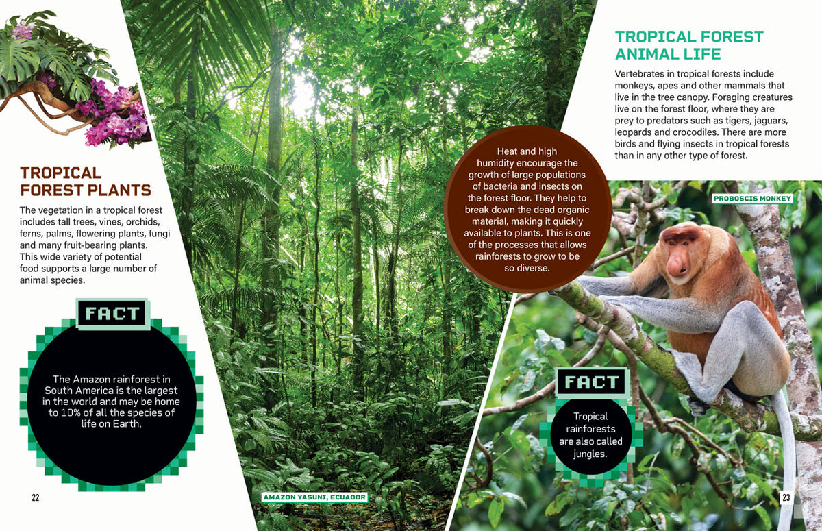 Biomes: Forest
