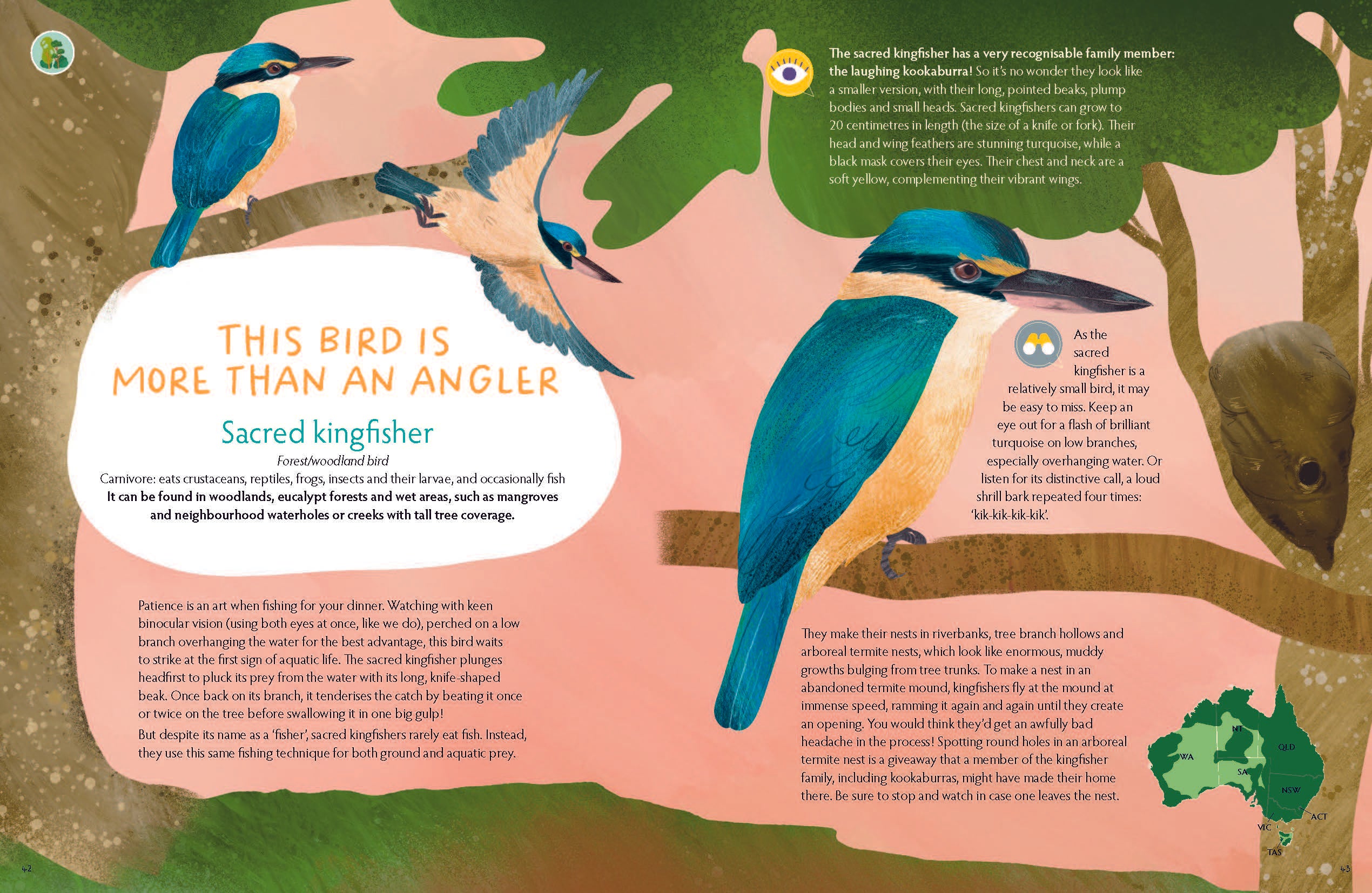 This Bird: Noticing Our Urban Birds