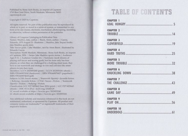 Jake Maddox Sports Stories: Soccer Goals