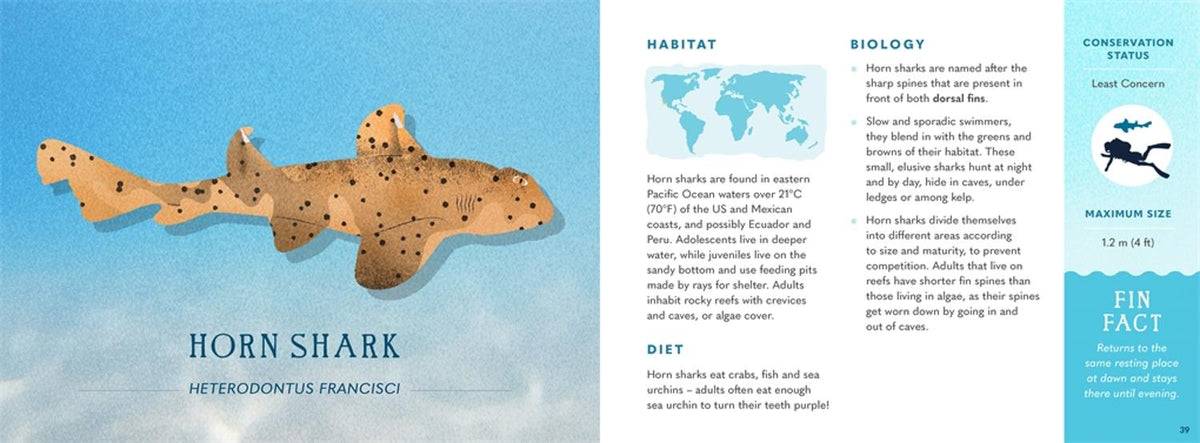 Wonders of the Wild: Sharks