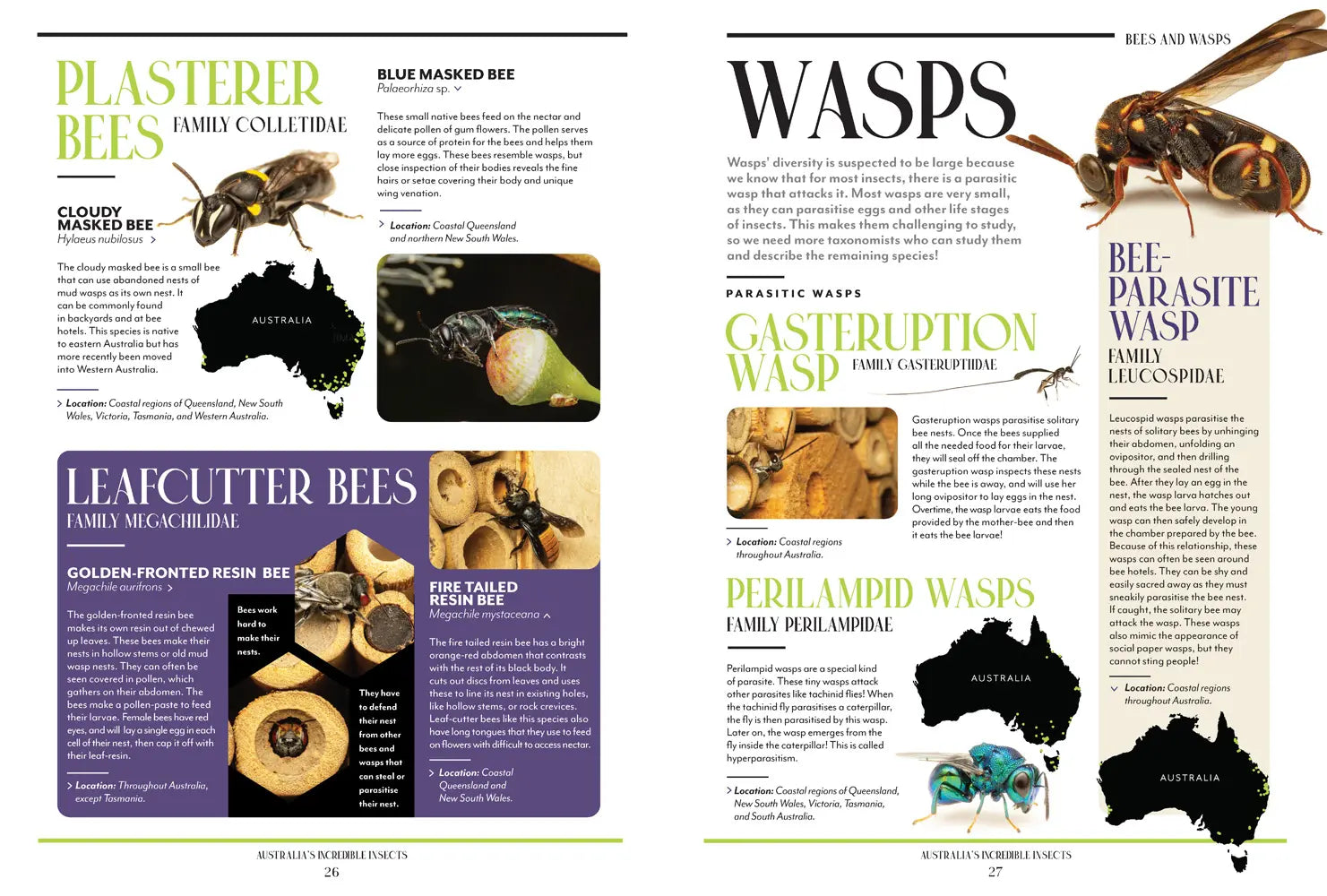 Australia’s Incredible Insects