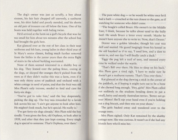 The Mushroom in the Sky