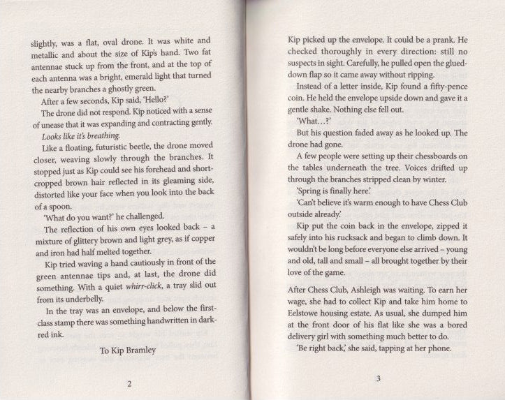 The Ten Riddles of Eartha Quicksmith