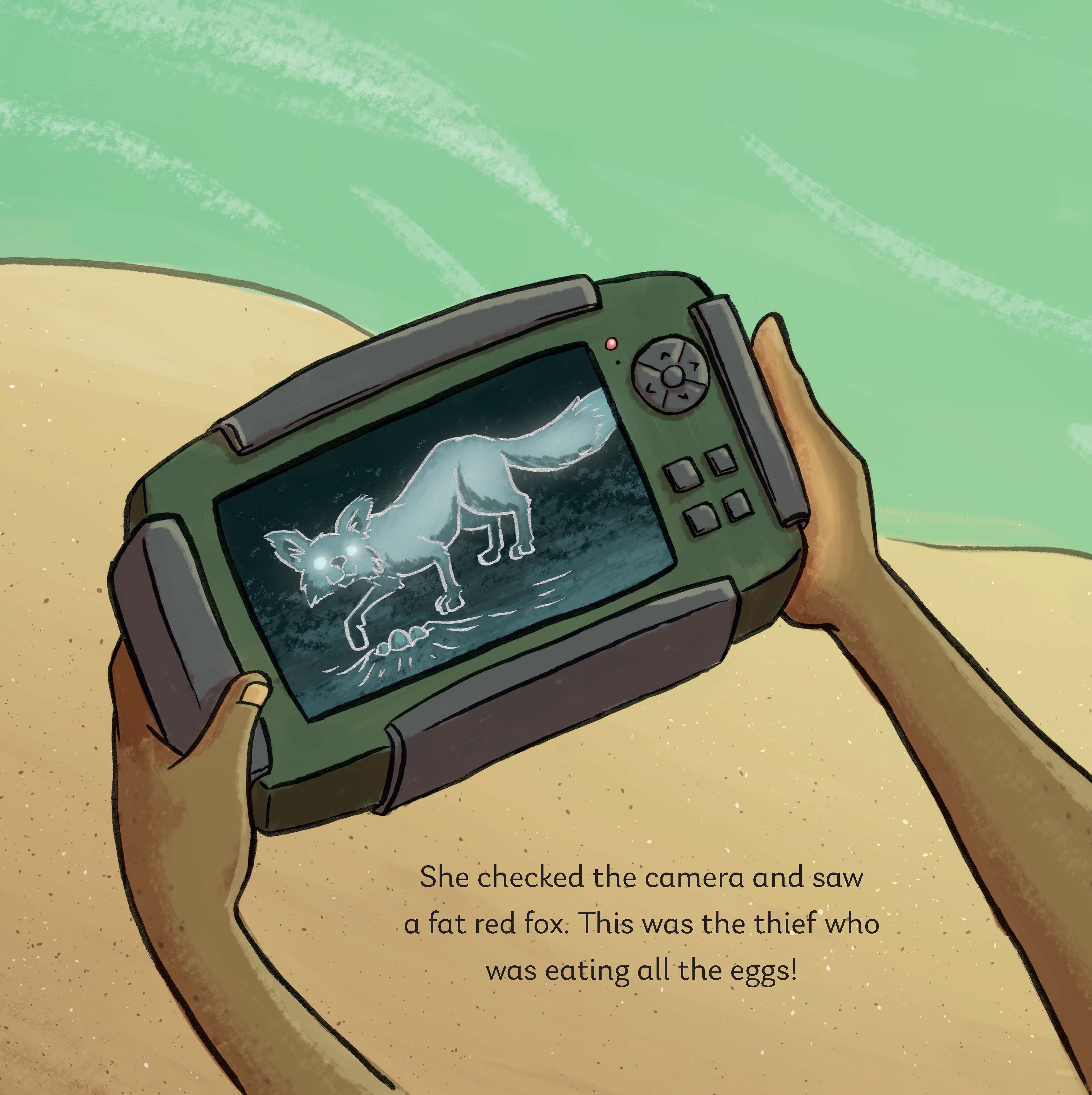 Mystery of the Missing Turtles