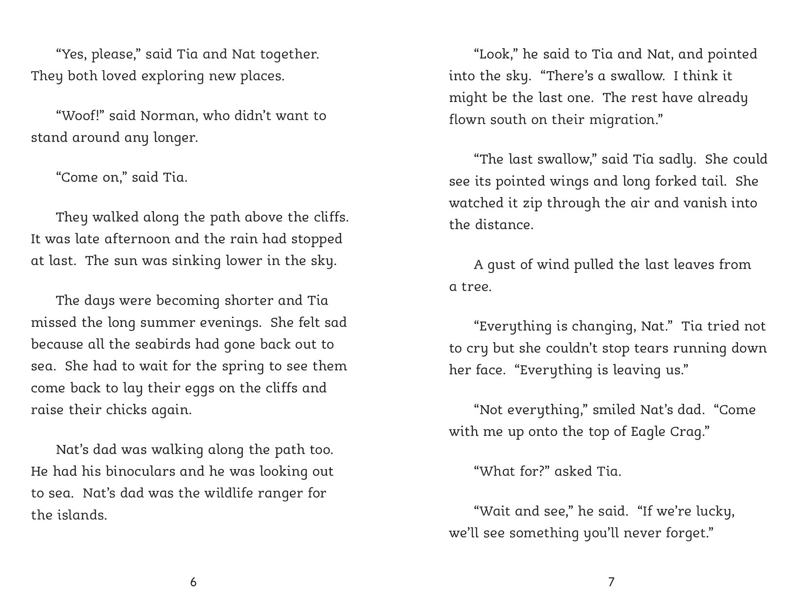 The Winter Snow Goose (Dyslexia Friendly)