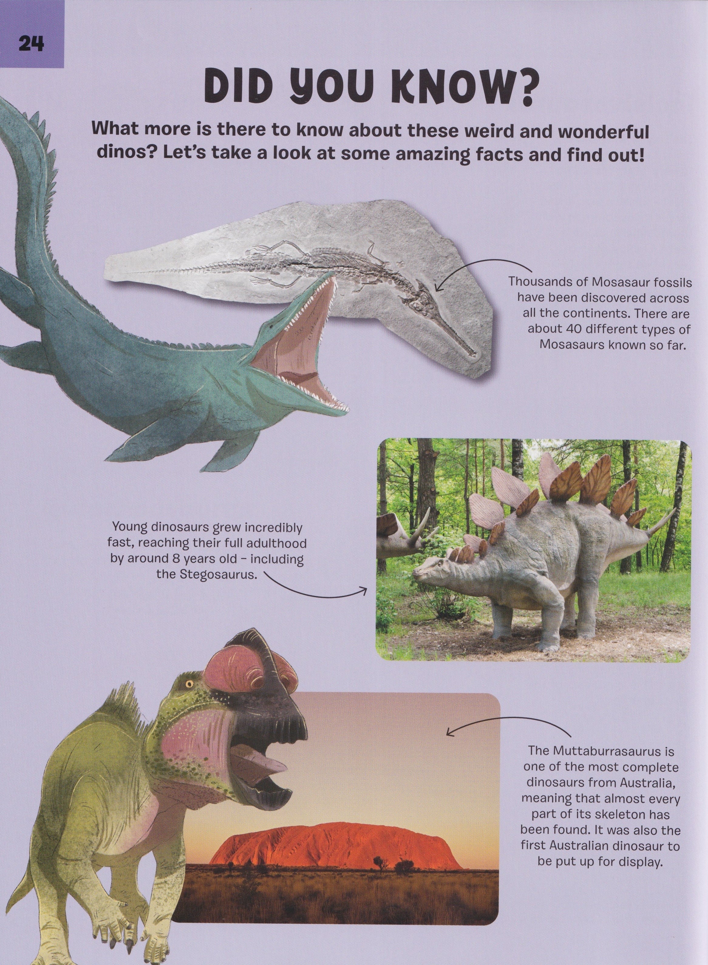 Dinosaurs: Weird and Wonderful Dinosaurs