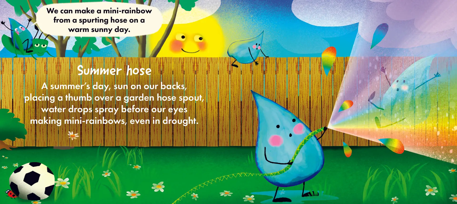 Why, Oh, Why? The Story of Rainbows