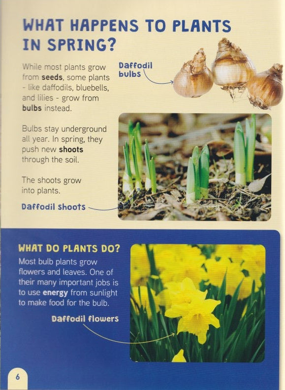 Young Science Seekers: Why Do Plants Grow in Spring?