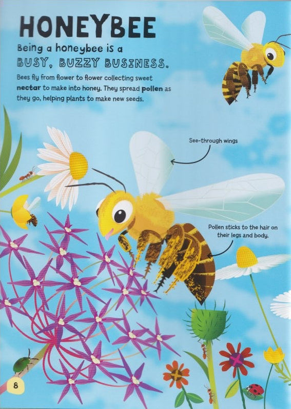 Young Adventurers: My Book About Bugs
