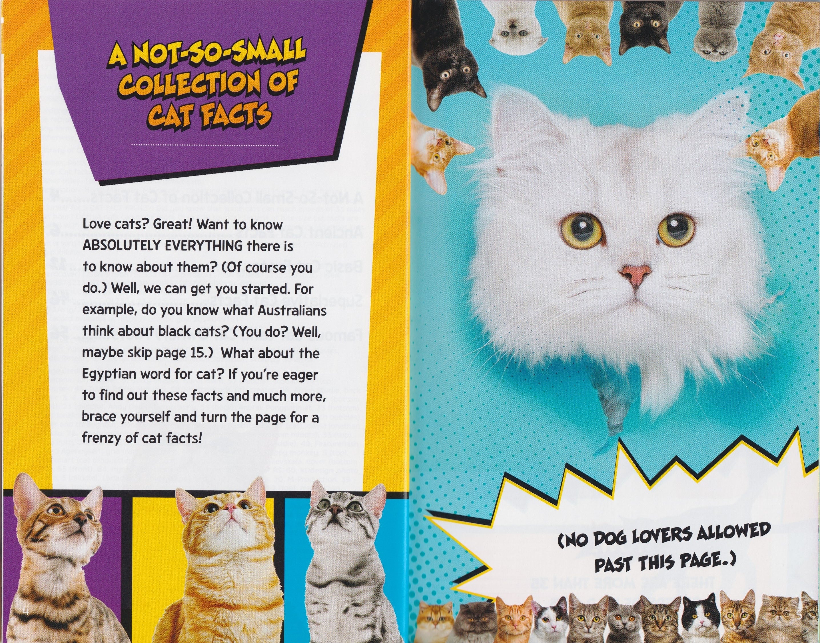 Fact Frenzy: Cat Fact Frenzy!