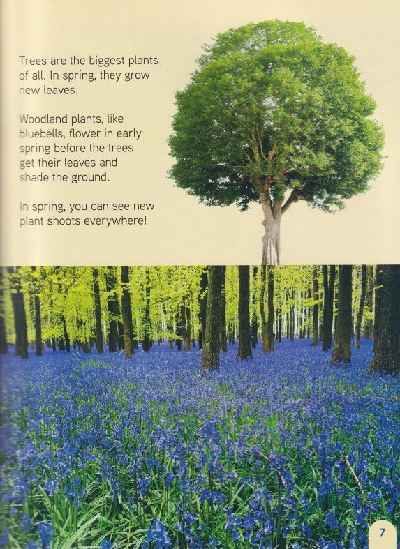 Young Science Seekers: Why Do Plants Grow in Spring?