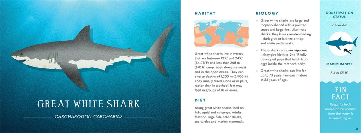 Wonders of the Wild: Sharks