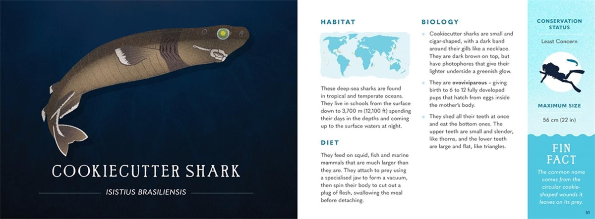 Wonders of the Wild: Sharks