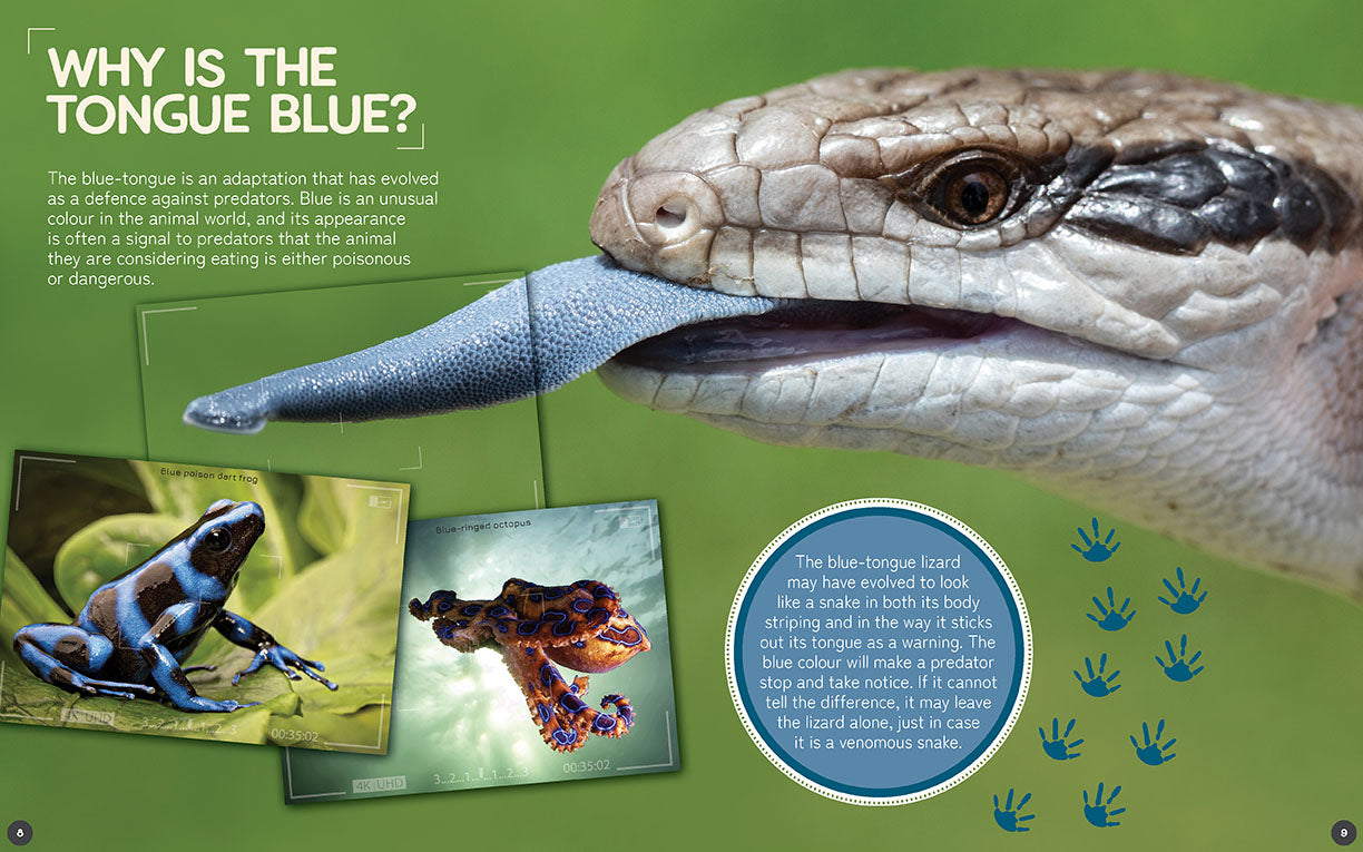 Australia's Remarkable Wildlife 10 Pack (Softcover)