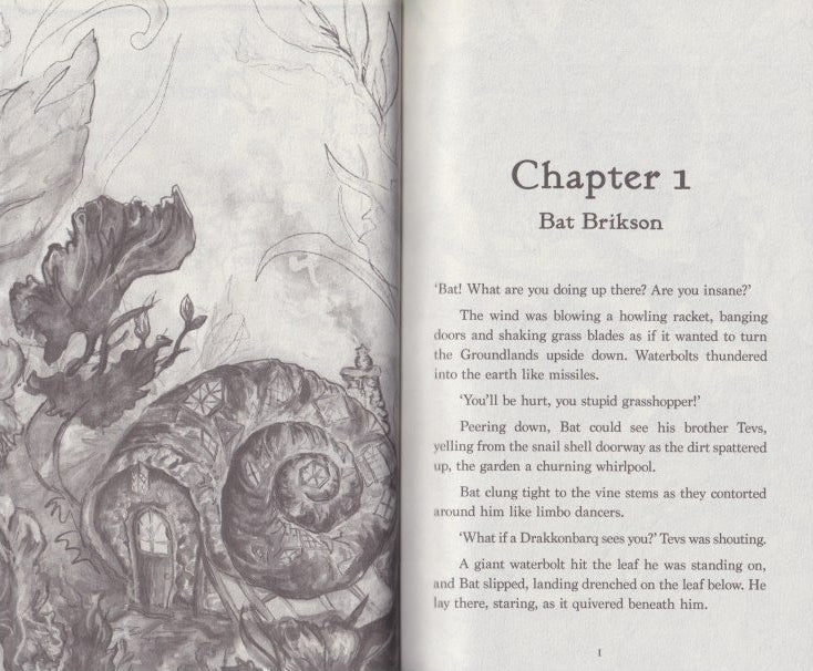 Flight of the Drakkonbarq