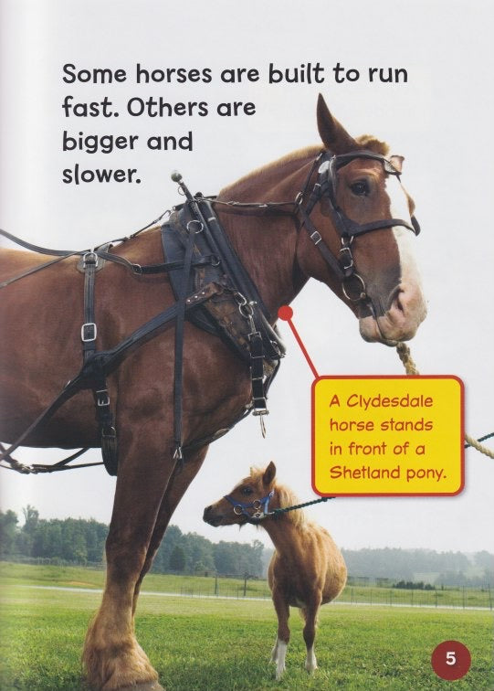 Horse Lover's Library: Horse Breeds