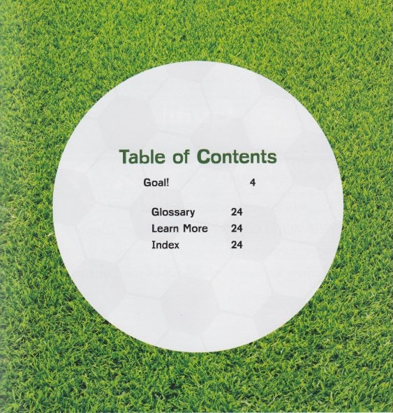 Soccer Mania: The Story of the World Cup