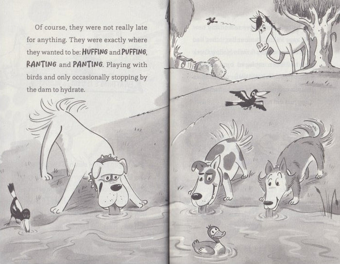 Junior Fiction Variety Pack (40 titles)