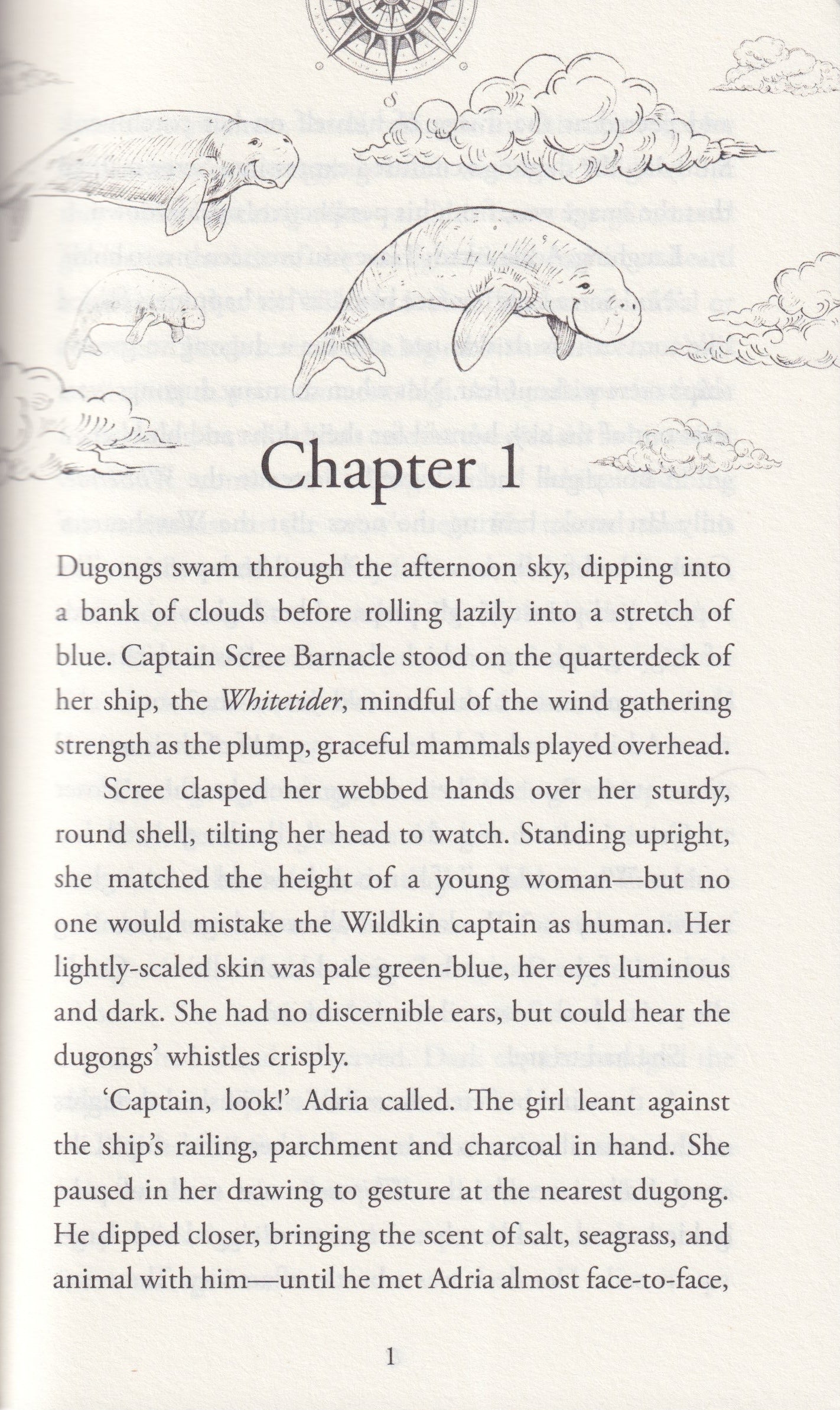 Dugongs of the Sky