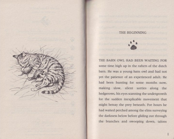 The Nine Lives of Montezuma