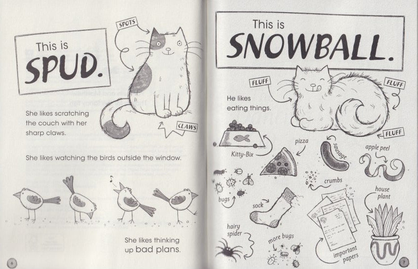 Spud and Snowball 1: Spud and Snowball and the Fancy Fish