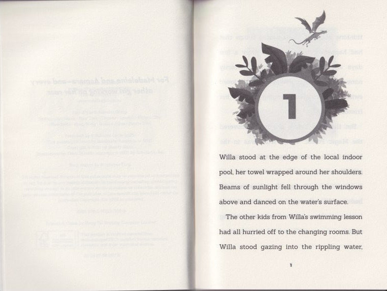 Dragon Girls BK 2: Willa the Silver Glitter Dragon